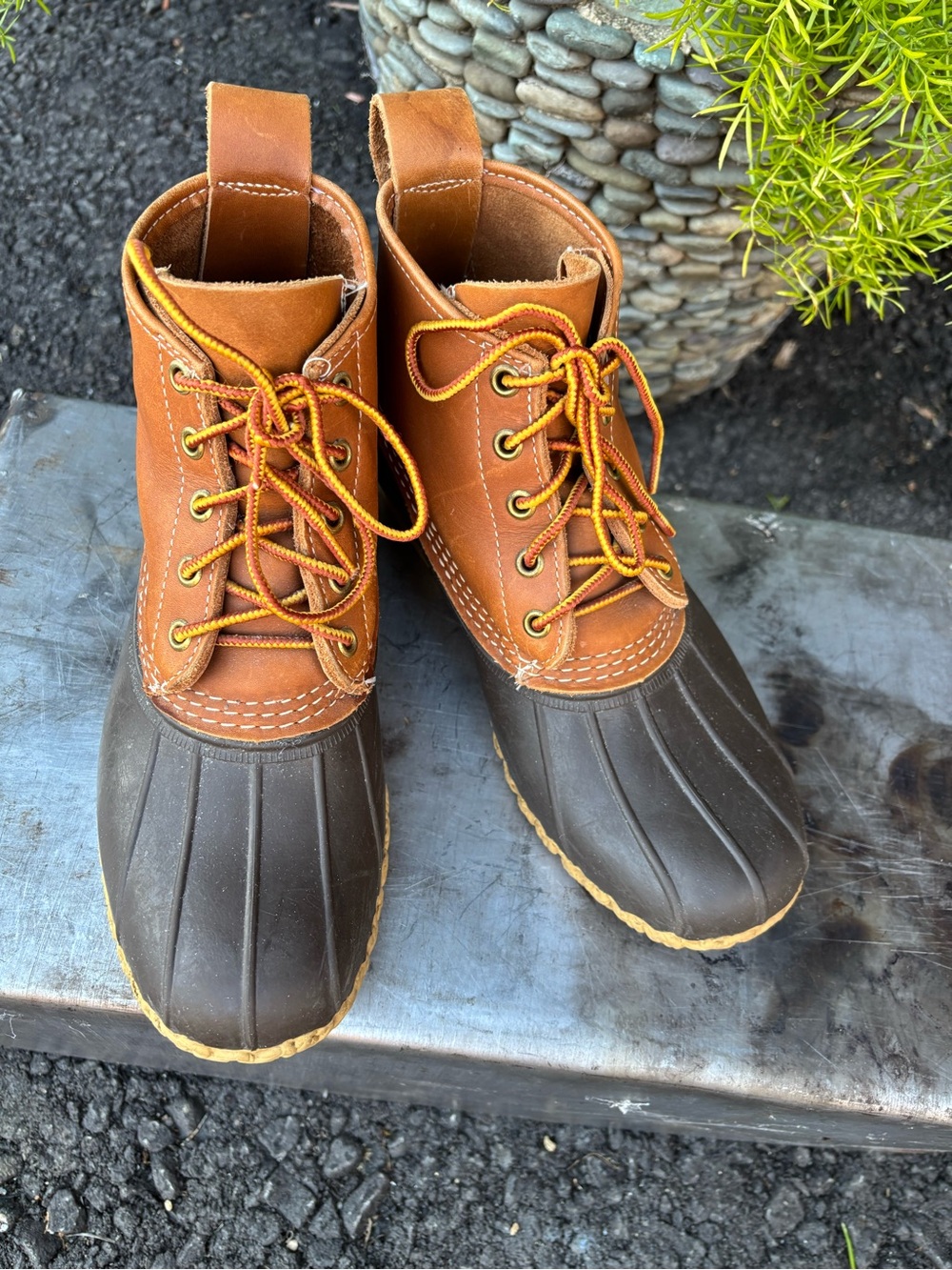 Women’s Bean Boots, 6”, All Weather, LL BEAN, Waterproof, Two Tone Leather, 8 M